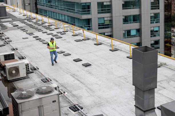 Best Storm Damage Roof Repair  in Albany, TX