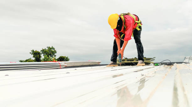 Best Solar Panel Roofing Installation  in Albany, TX
