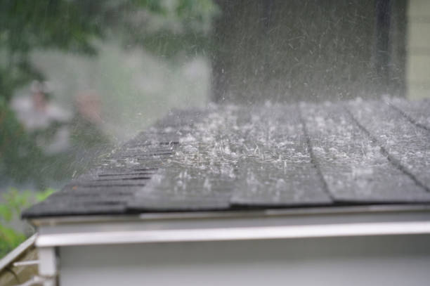 Best Gutter Installation and Repair  in Albany, TX