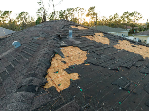 Best Roof Ventilation Installation  in Albany, TX